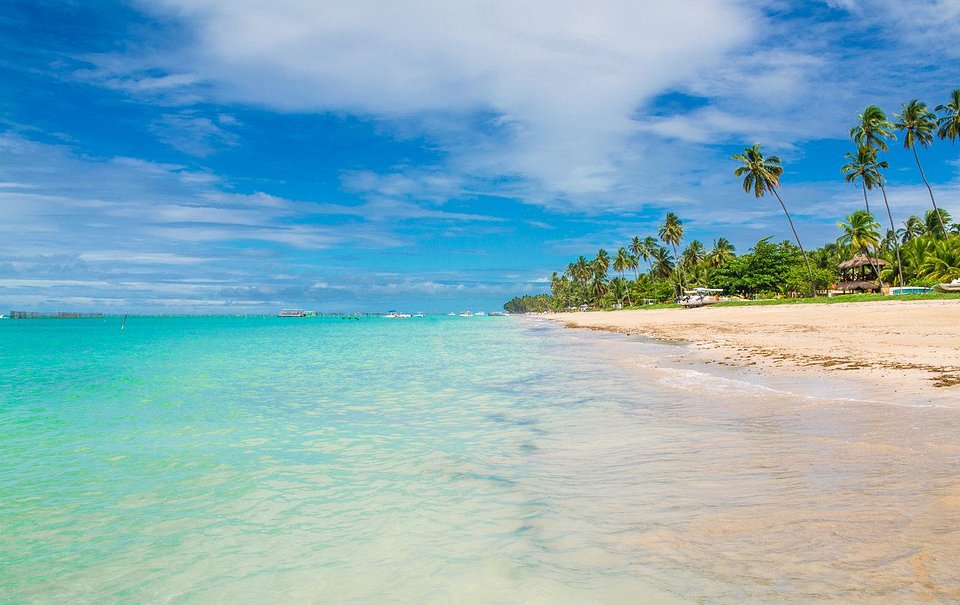 Onde comer na Rota de Milagres: guia gastronômico para sua viagem a Alagoas